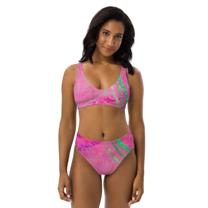 Watermelon Luv High-Waisted Bikini